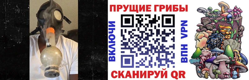 Галлюциногенные грибы Magic Shrooms  Ленск 